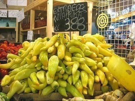 Piante & sementi: POIVRON DOUX JAUNE DE HONGRIE 20g – Nuovo (secondo la descrizione) da Bremblens venduto da FIBONACCI369 2