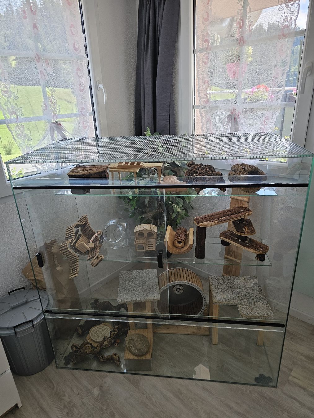 Terrariums: Terrarium – D'occasion à Escholzmatt par sim_82ct