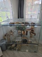 Terrarium