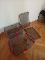 Aufbewahrungsbox Box Rotho 30x50
