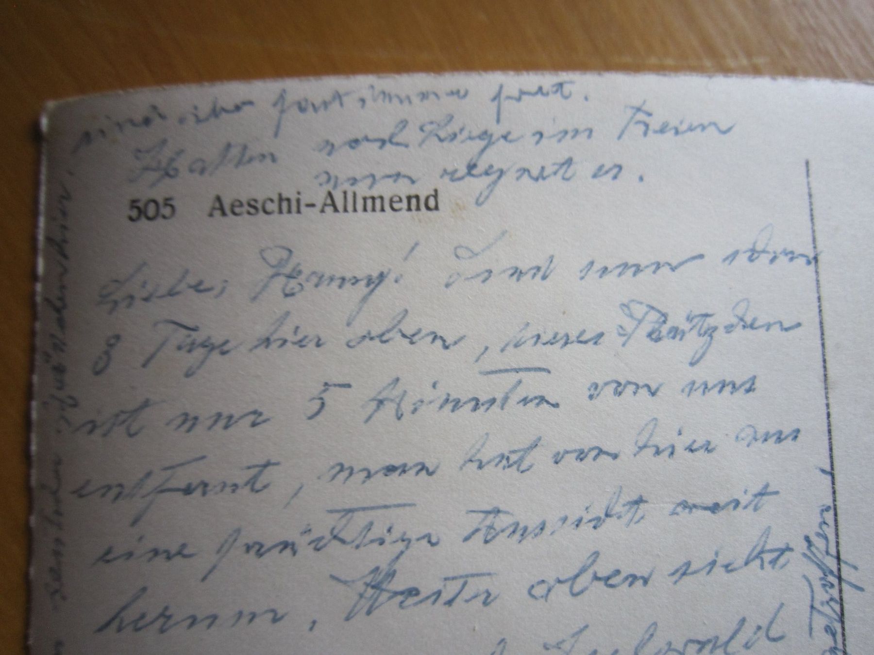 Cartoline postali: Antika Postkarte AESCHI Allmend – Usato da Gordola venduto da Polentaefung 2