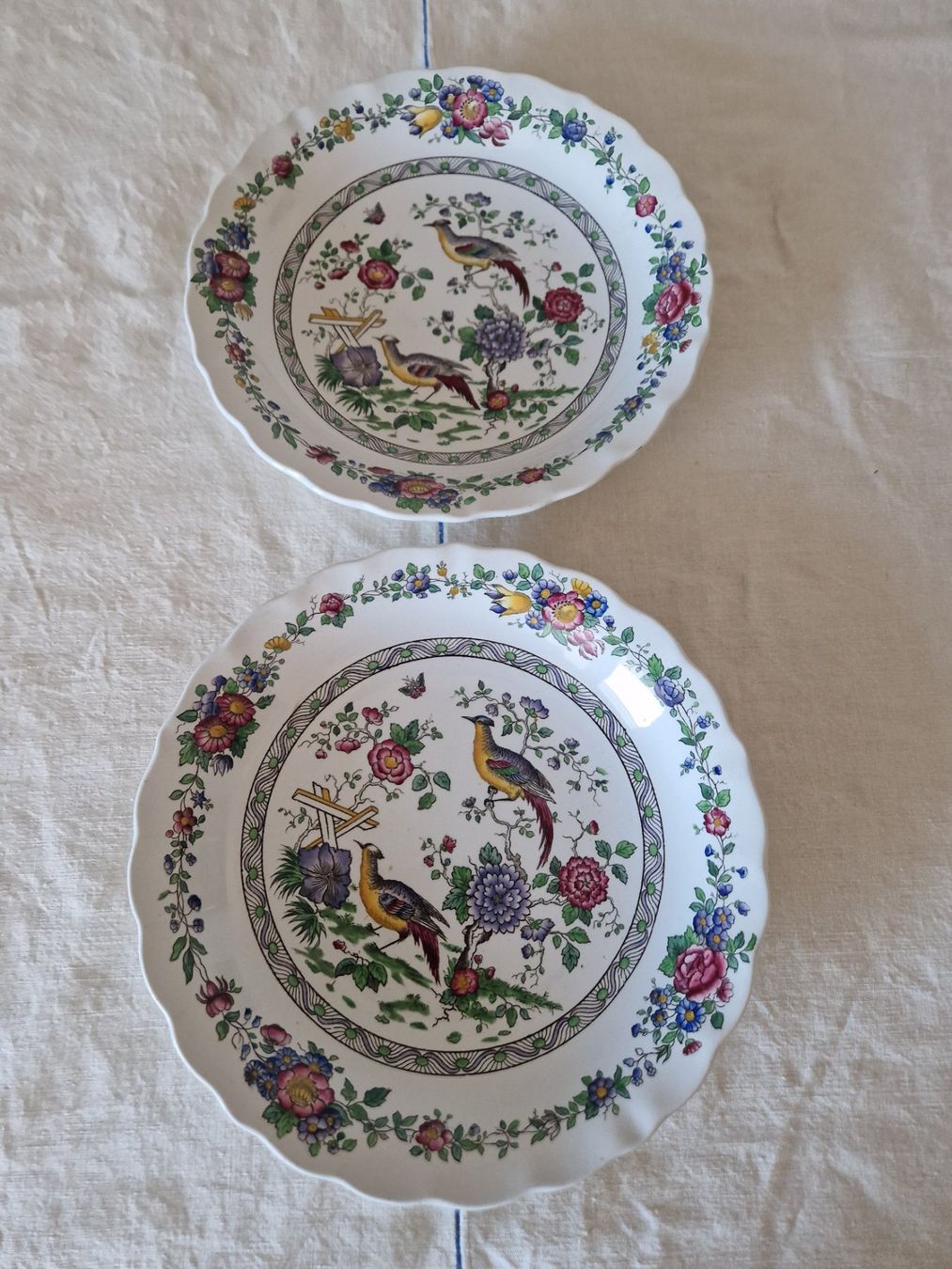Spode Piatti: Spode Teller Antik – Usato da Bern venduto da Antikbatik 4