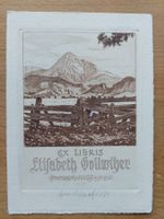Exlibris Hans Schaefer - Orig. Radierung signiert