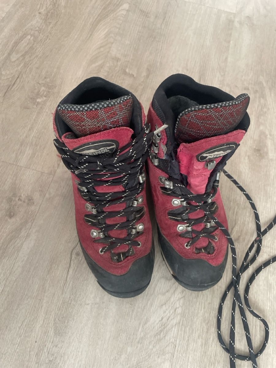 Meindl Chaussures femmes: Wanderschuh Meindl Tonale GTX, 37 – D'occasion à Hünenberg See par len_y6gm 1