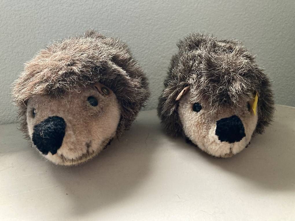 Steiff Spielzeuge: Steiff Igel – Gebraucht aus Oberglatt ZH von Fischli085 1