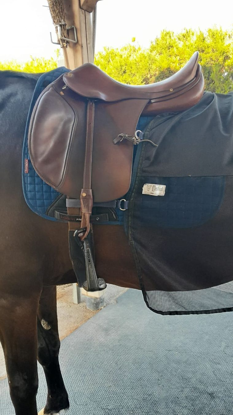 Selle & Accessori: Selle Labelle – Usato da Grimisuat venduto da Loulou03