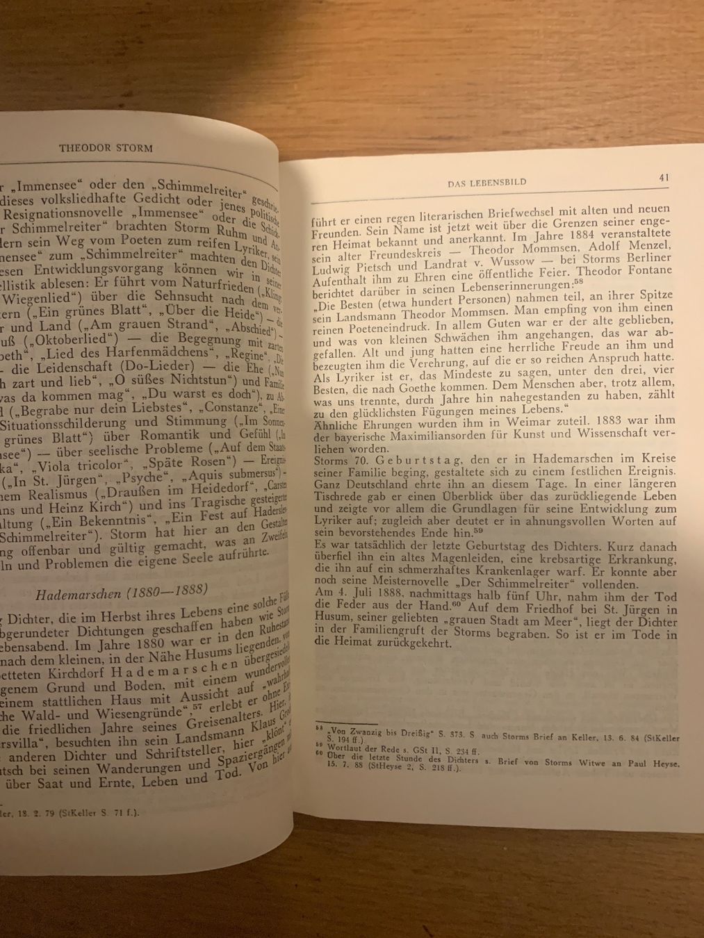 Bücher: Theodor Storms Werke – Gebraucht aus Wiggen von Antoniotto 1