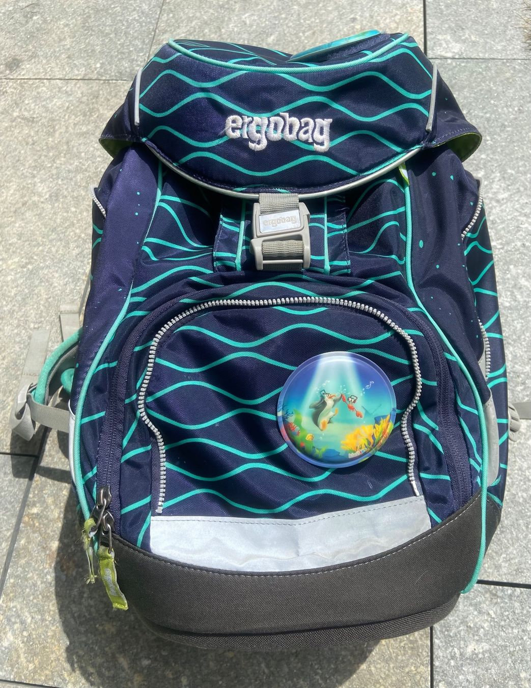 Ergobag Borse & Zaini: Ergobag Schulrucksack-Set 6-teilig – Usato da Au ZH venduto da cafisafr