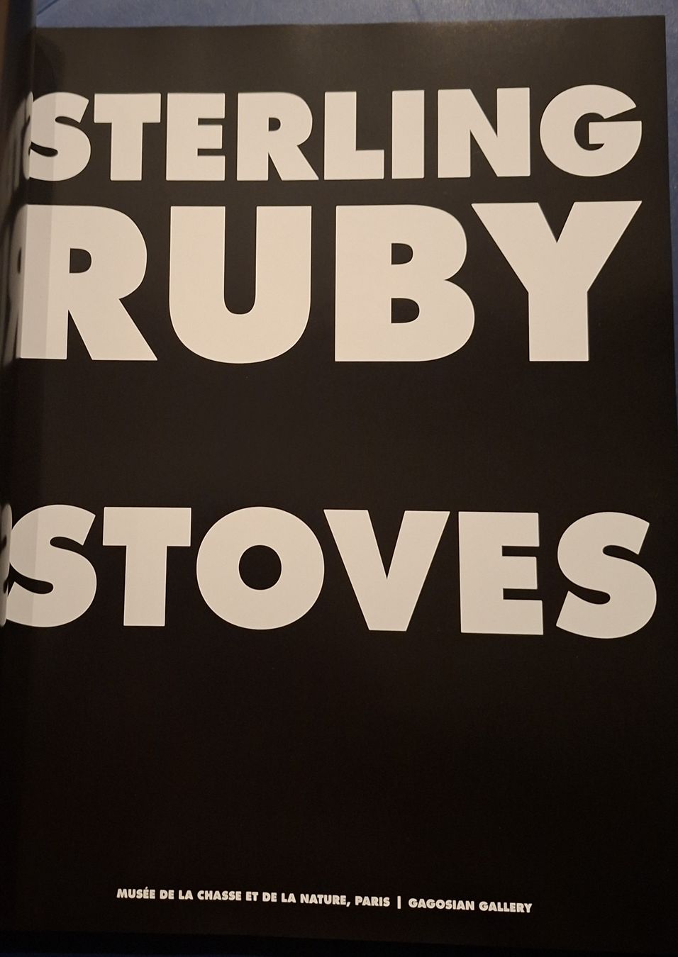 Libri: Sterling Ruby Stoves Buch Musée de la Chasse et de la Nature – Usato da Niederglatt ZH venduto da Siegfried67 1