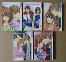 Alles nur deine Schuld! - Ami Chatani - Band 1 - 5 Komplett
