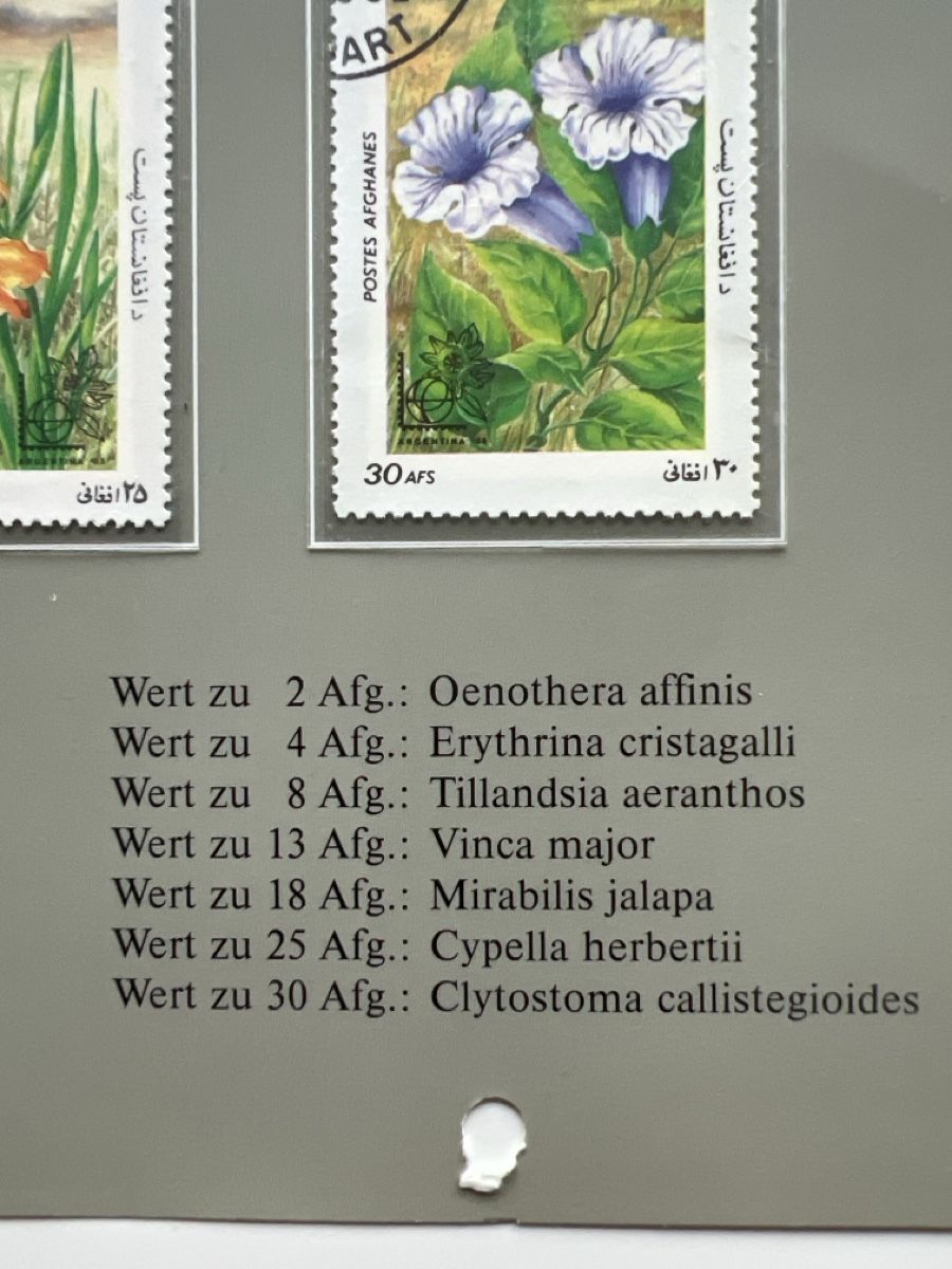 Tutti i francobolli: Briefmarken Afghanistan 1985 – Usato da Glattbrugg venduto da Artos67 9