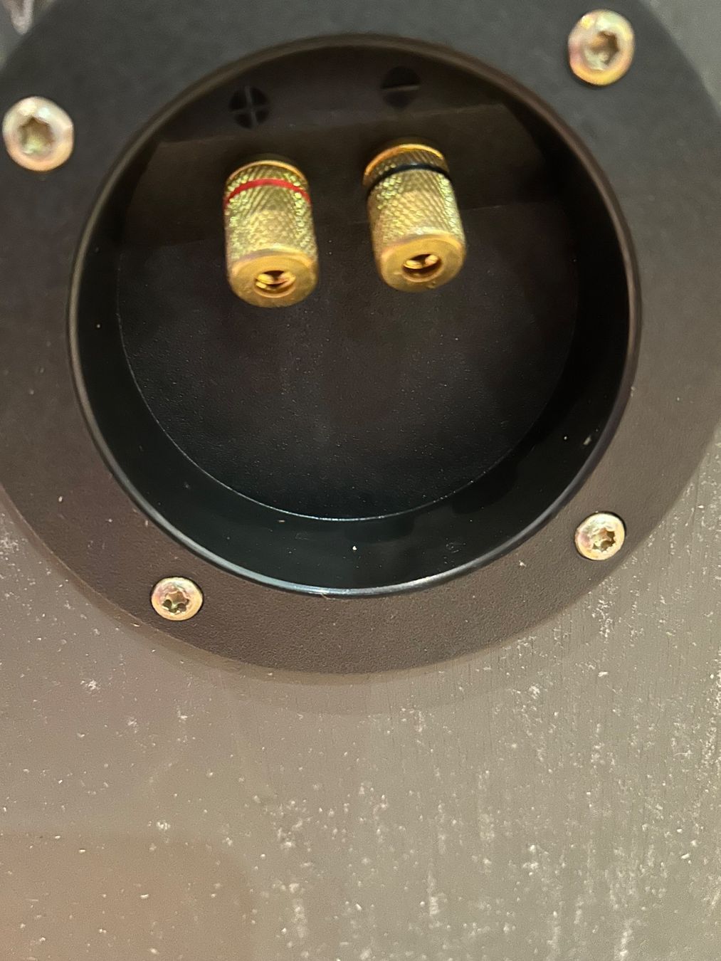 Casse acustiche: Lowther ACOUSTA HiFi Lautsprecher – Usato da Bichelsee venduto da dan_n5t5 4