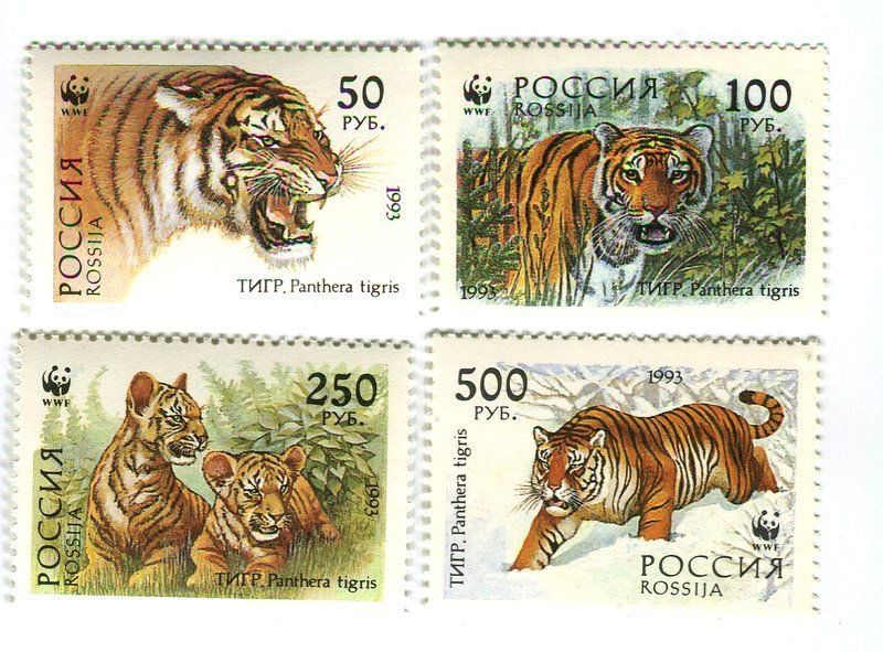Tutti i francobolli: Briefmarken "Tiger". Russland. – Nuovo e nell'imballaggio originale da Basel venduto da Butsch5