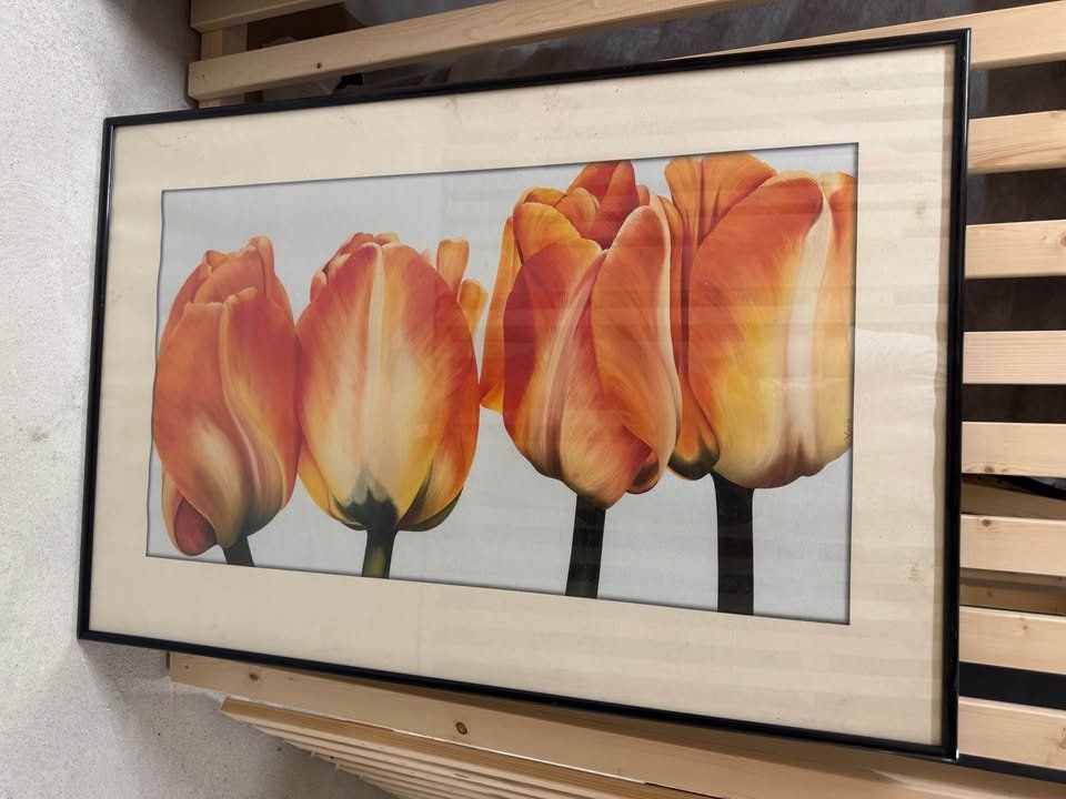 Foto & Immagini: Bild Rosen mit Rahmen und Glas – Usato da Aarau venduto da basile_r