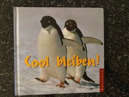 Cool bleiben! Ein Pinguine-Fotobuch mit tollen Sprüchen