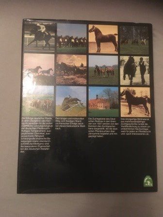 Libri: Deutsche Pferdezucht Freiherr von Stengl – Usato da Bergdietikon venduto da book-4-you 1