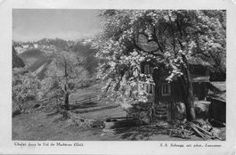BÜRGLEN Chalet im Maderanertal