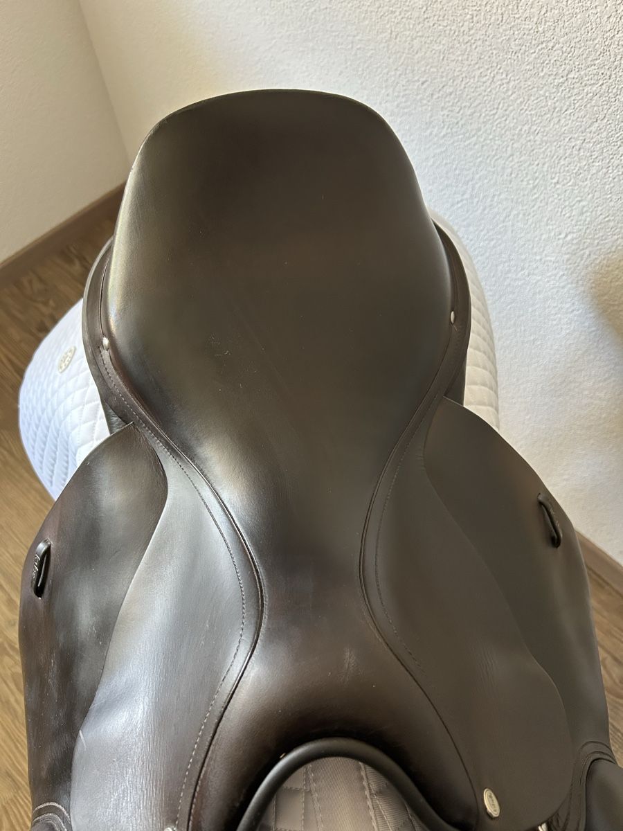 Selle & Accessori: Labelle Springsattel top gepflegt – Usato da Rickenbach ZH venduto da nathifa 2