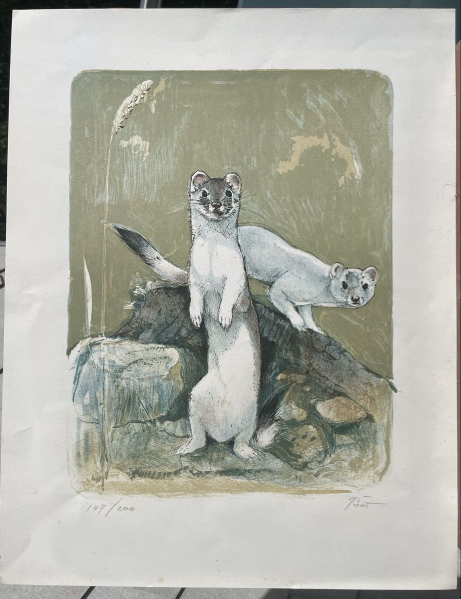Grafiken & Lithographien: Willy Baer Lithographie Hermelin – Gebraucht aus Biel/Bienne von Galaq 1