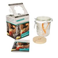 Weck Fermentationsglas Le Parfait Terrines 750 ml