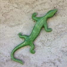 Profile image of ramarro57