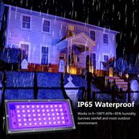 50W LED Schwarzlicht Strahler UV Licht