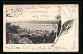 AK Neuveville, Vue generale, 1906