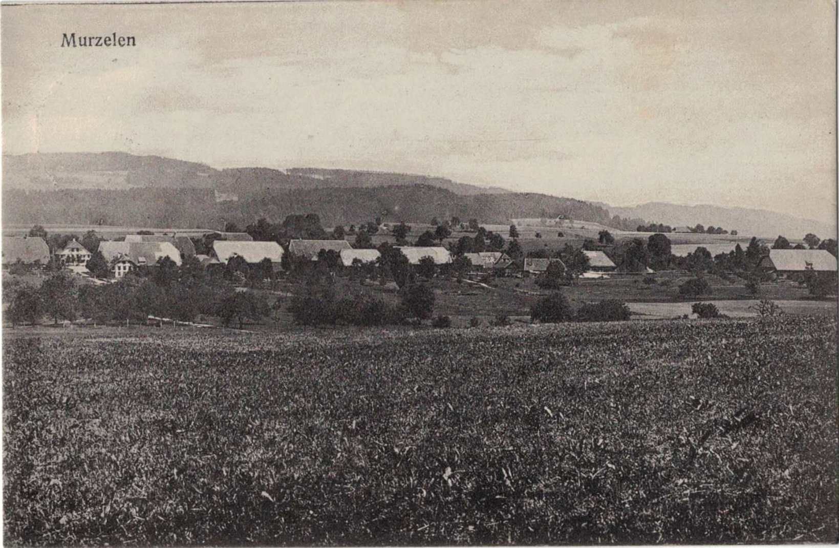 Ansichtskarten: Wohlen BE Murzelen Ortsansicht  , 1922 – Gebraucht aus Solothurn von Bepposol
