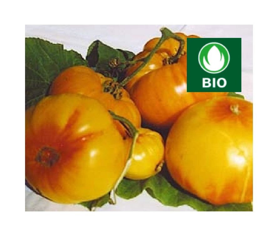 Ananas Bio - Fleischtomate - 20 Samen | Kaufen auf Ricardo