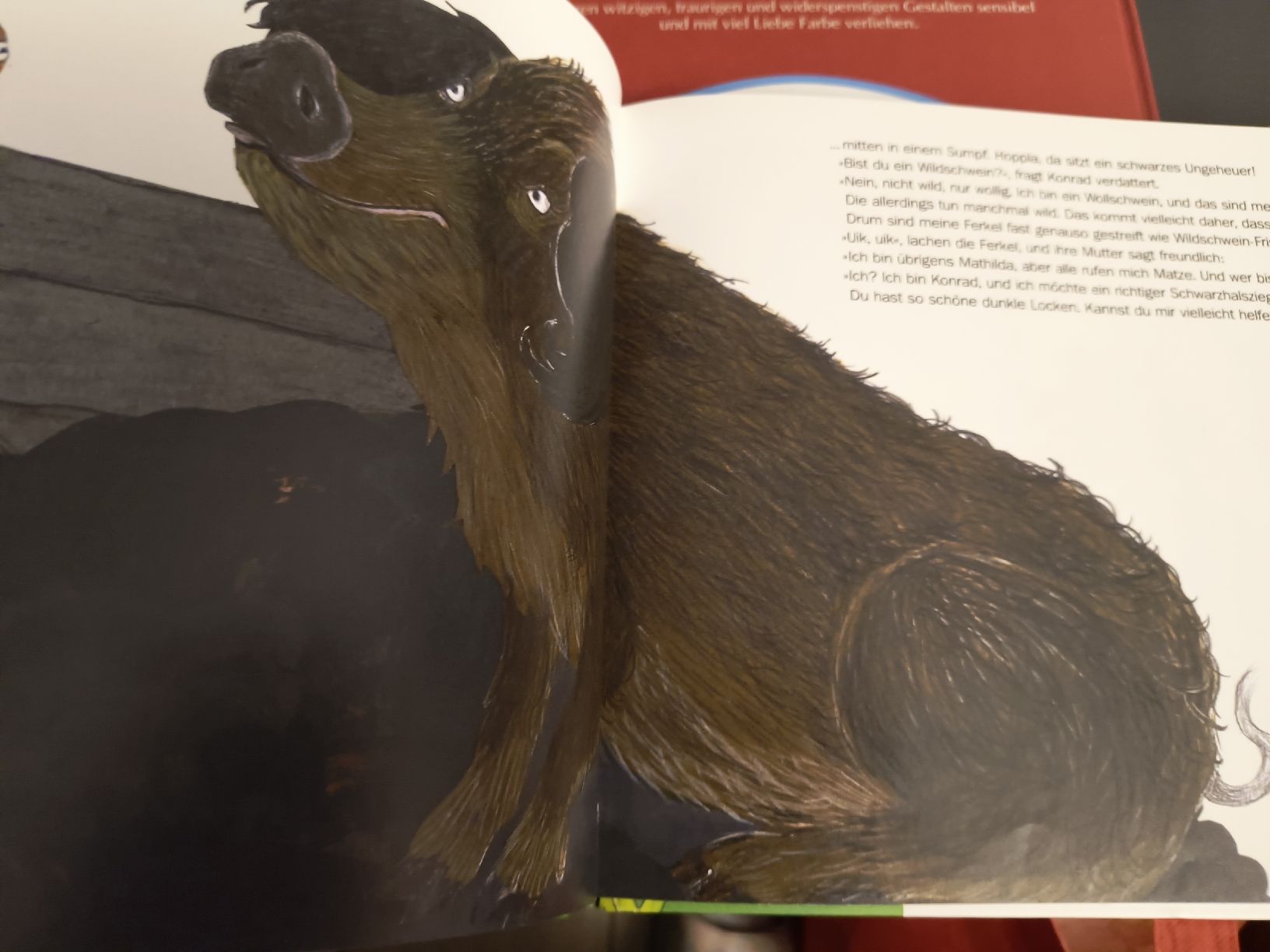 Libri: Kinderbuch Konrad Kupferhals – Usato da Oberweningen venduto da Bumblebee2 4