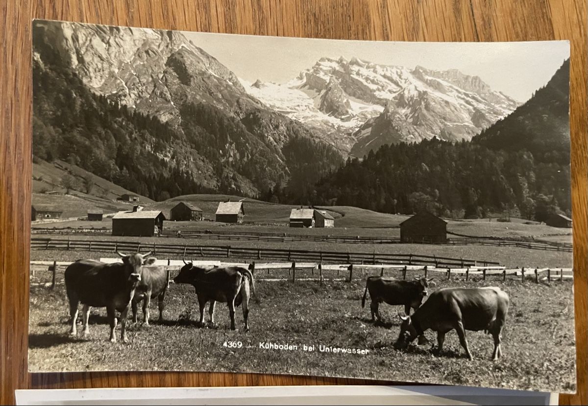 Ansichtskarten: Antike Ansichtskarte Unterwasser Säntis – Gebraucht aus Waldstatt von Cremschnitte 2