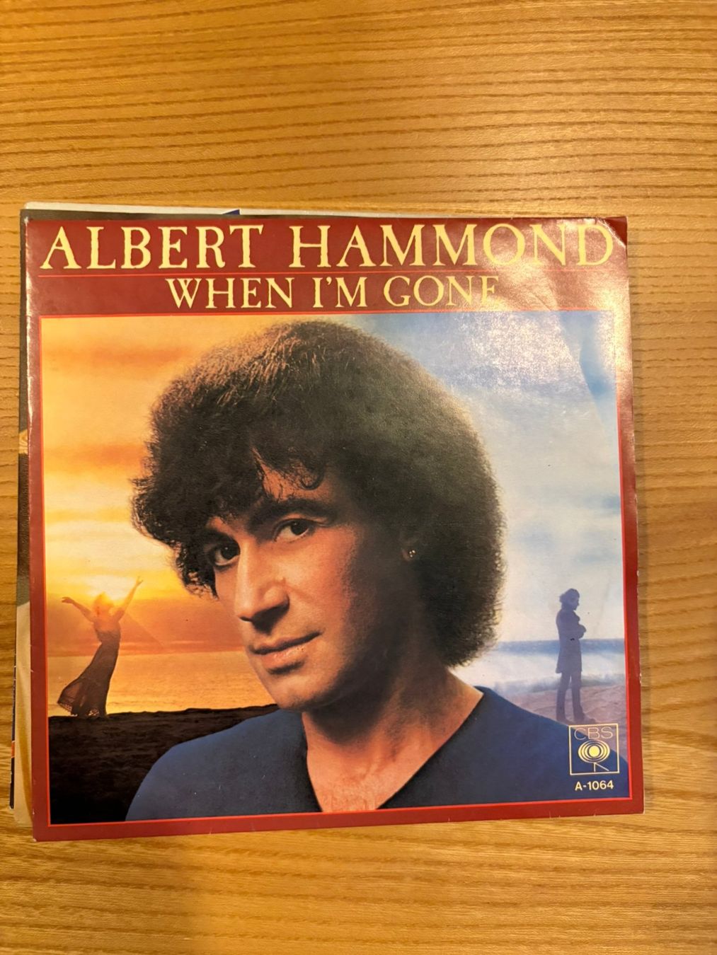 Vinyles: Albert Hammond - When I'm Gone – D'occasion à Zofingen par Bigron