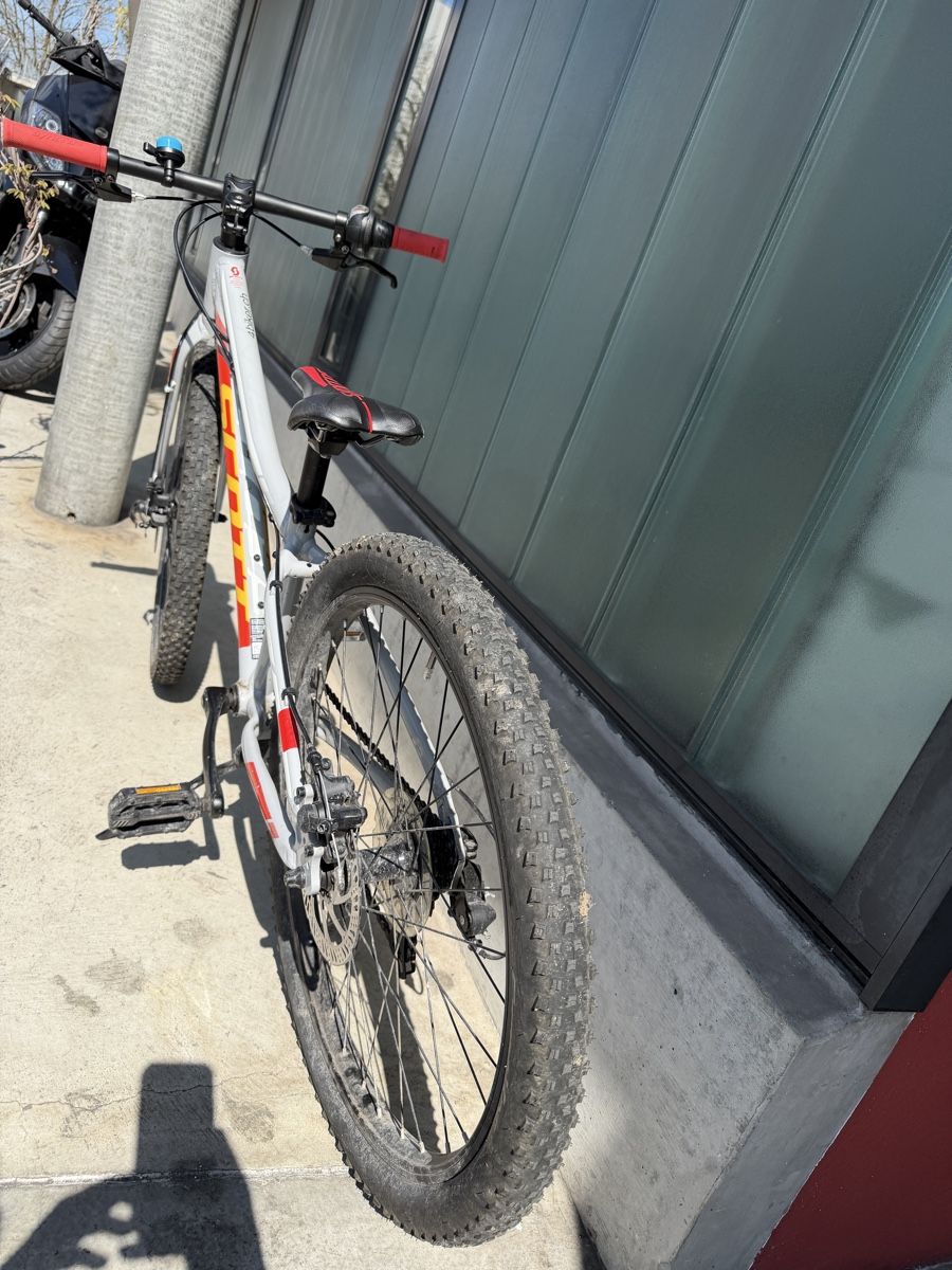 Scott Velos: Scott Scale 24 Kinder Velo, Top Zustand! – Gebraucht aus Opfikon von Lui_07 1
