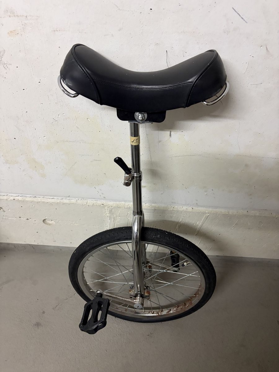 Vélos: Einrad – D'occasion à Leibstadt par Shopcity