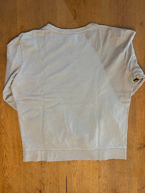 Allsaints Maglioni & Felpe: AllSaints Sweatshirt Taubenblau Gr. M – Usato da Bern venduto da TimRbz 2