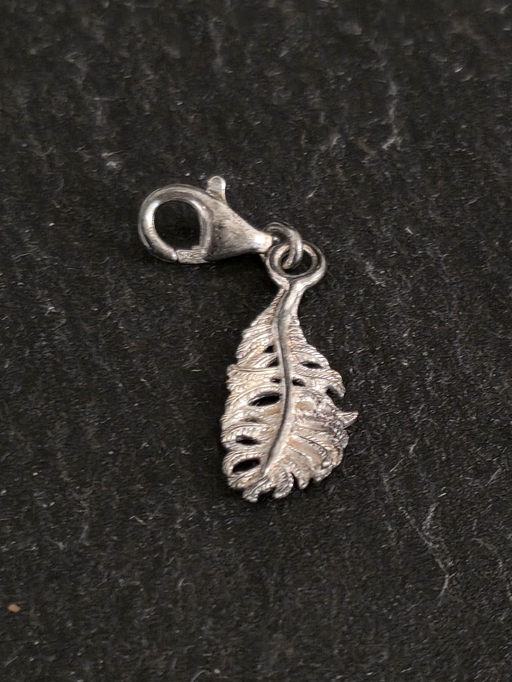Thomas Sabo Anhänger: Thomas Sabo Charm Feder Silber 925  – Gebraucht aus Dorf von Echo_Elements
