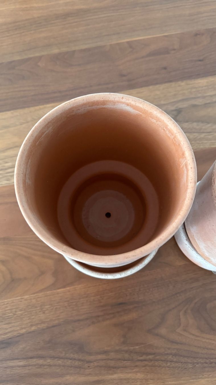 Vasi per fiori: Bergs Potter Hoff Pot Blumentopf+Unterteller 2er Set NP61 – Nuovo (secondo la descrizione) da Riehen venduto da To120 3