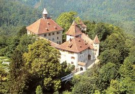 KYBURG Flugaufnahme