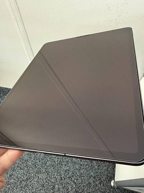 Apple Tablet PC: iPad Pro 12.9" 3. Generation, 256 GB, WIFI – Usato da Walkringen venduto da Chester007