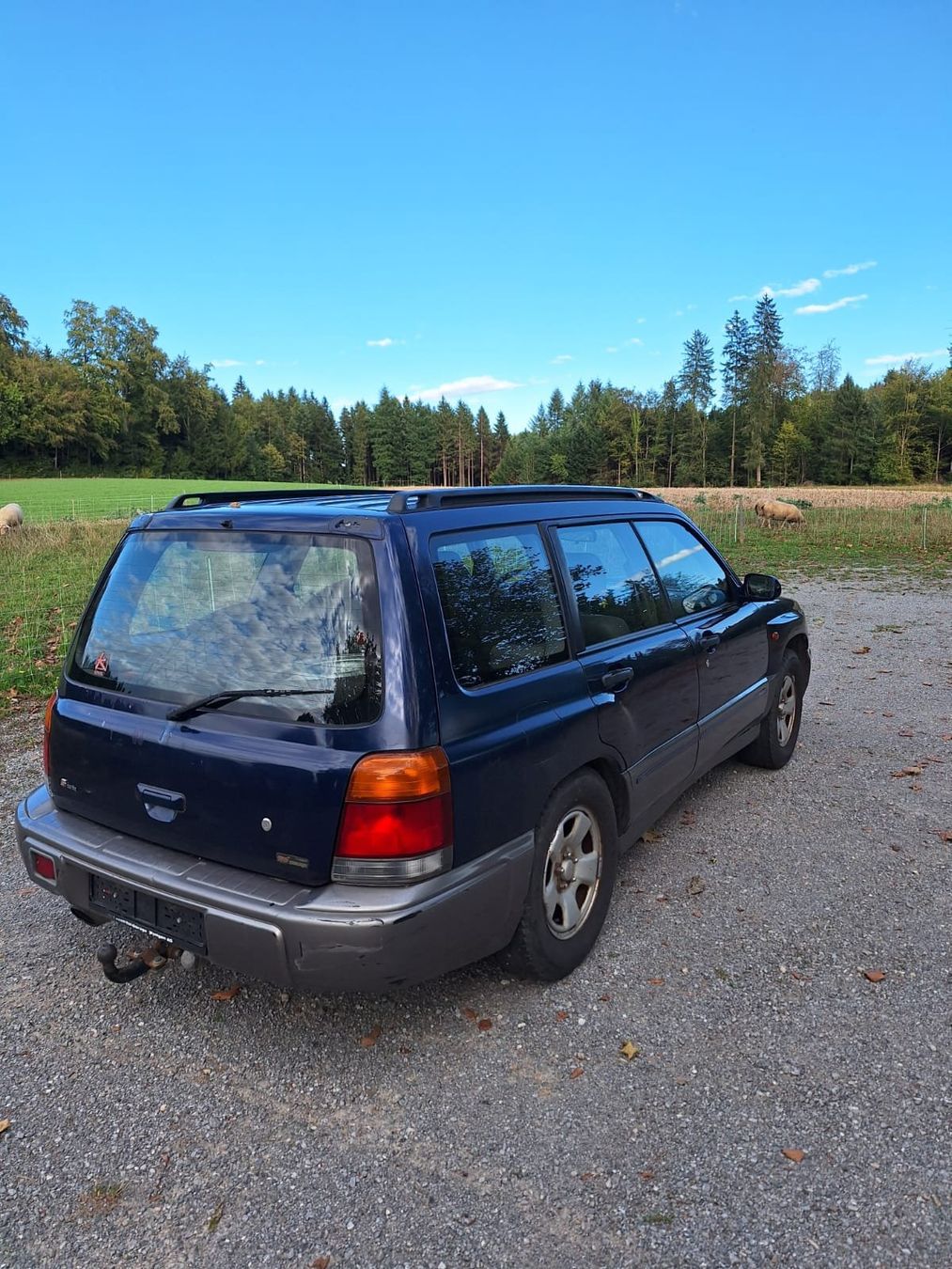 Subaru Autos: Subaru Forester 2.0 Turbo – Défectueux à Eriswil par Dieselflink 3