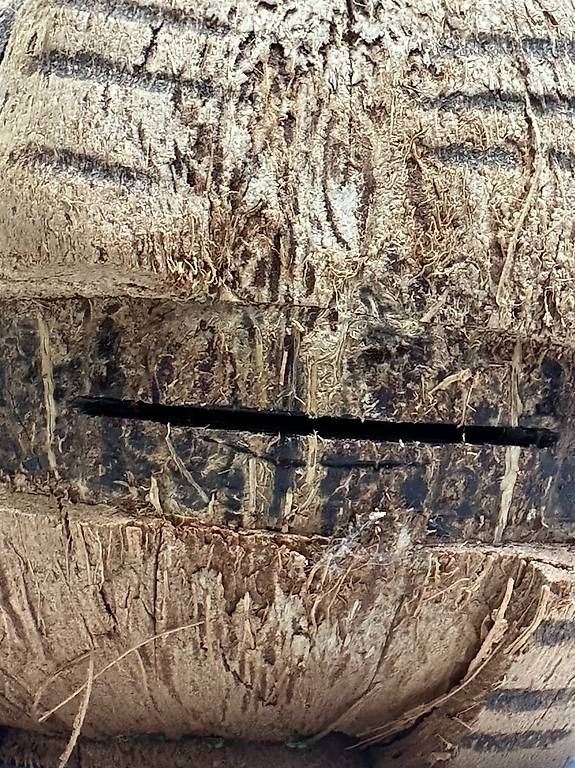Tutte le decorazioni: Handgeschnitzte Kokosnuss Hasenfiguren aus Holz – Usato da Obernau venduto da Arche_Noah_Brocki 7