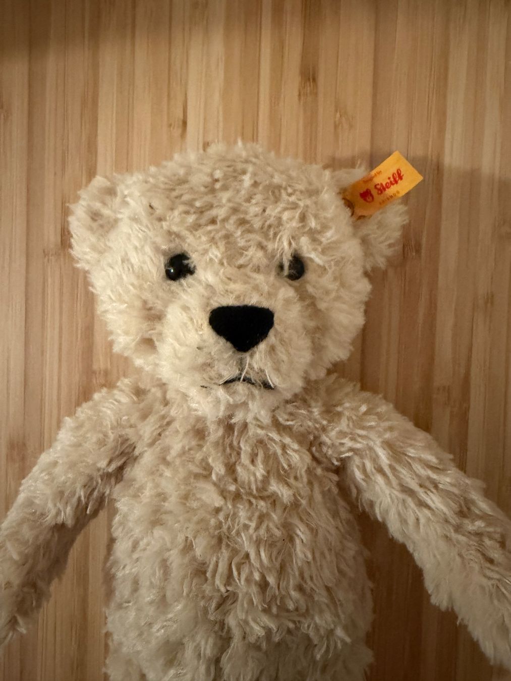 Steiff Giocattoli: Steiff Teddy unbespielt und neu! – Nuovo e nell'imballaggio originale da Burgdorf venduto da Amiir83 1