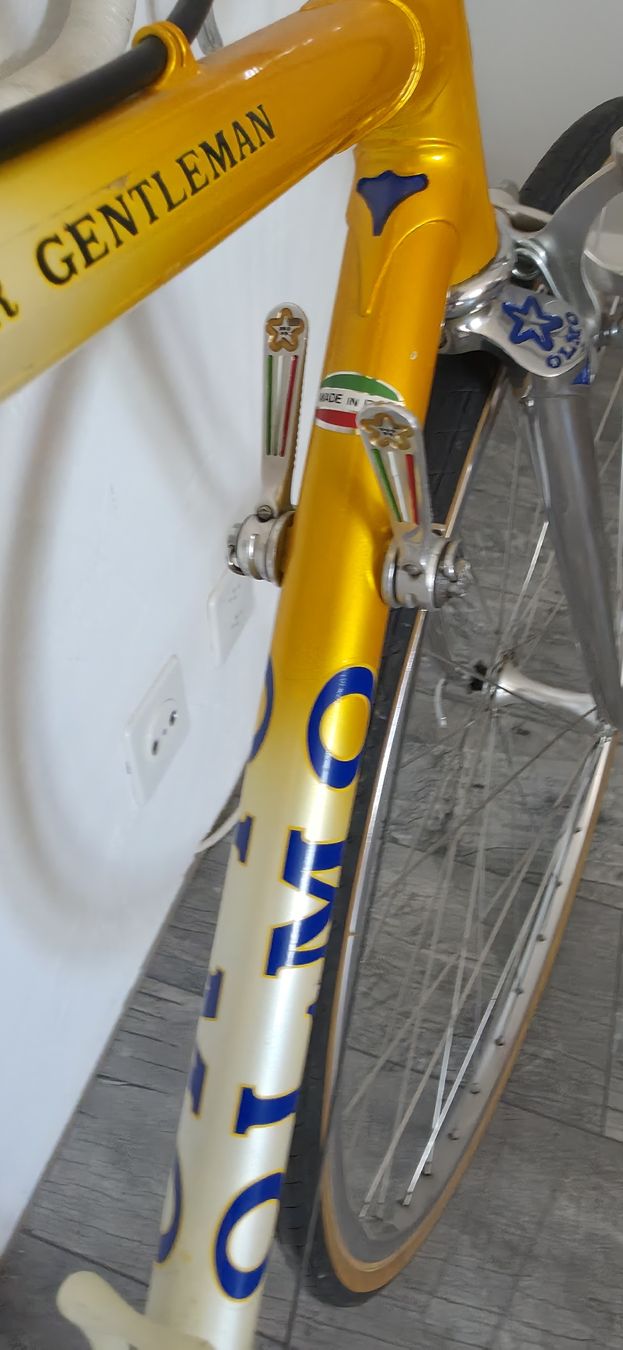 Velos: Olmo Super Gentleman – Gebraucht aus Brislach von p.stelvio 2