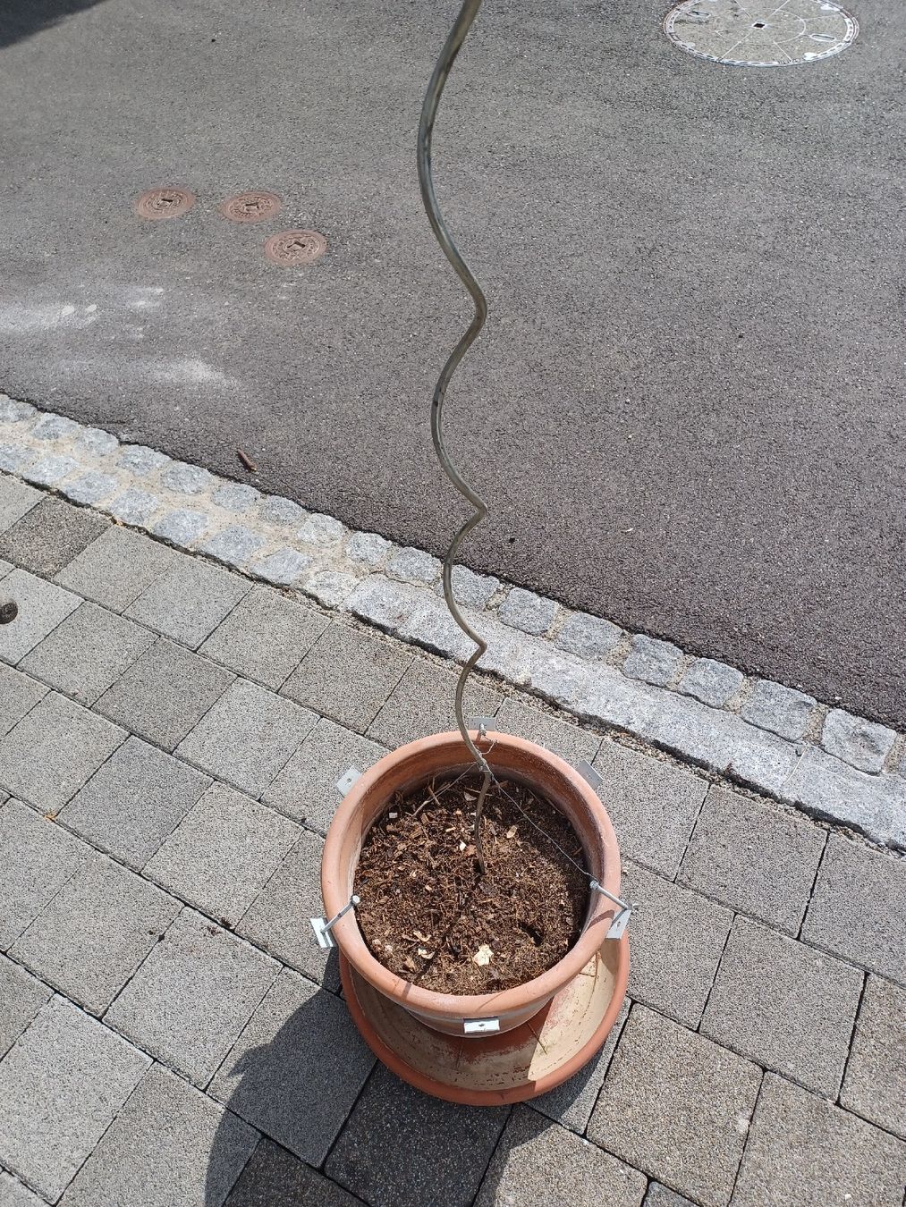 Altre Decorazioni per giardino: Fünf Töpfe mit Rankhilfe – Usato da Breitenbach venduto da einsundzwei12 2