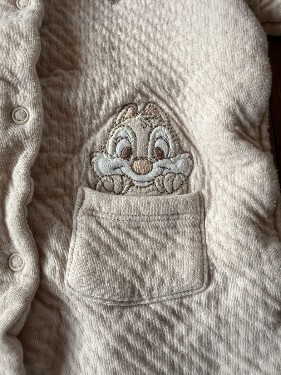 C&A Pigiama & Simili: Chipmunks Pyjama Grösse 68/74 – Usato da Pragg-Jenaz venduto da gobrist 2