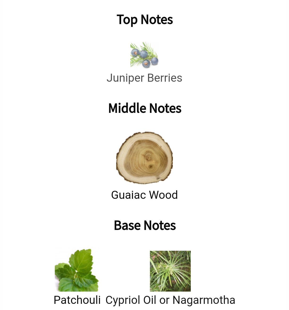 Byredo Parfum & Eau de Toilette: 2ml Bois d'Ebene Matiere Premiere niche decant Sample – Neu (gemäss Beschreibung) aus Steinhausen von nwe_t8nj 1
