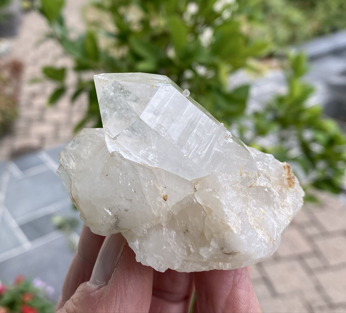 Mineralien & Heilsteine: Bergkristall Wergenstein Graubünden  – Gebraucht aus Selzach von 321compac 5