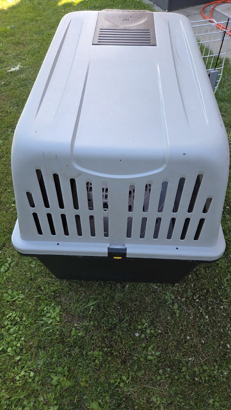 Ferplast Gabbie, trasporto & Sicurezza: Hunde Transportbox Ferplast Grösse 4 / L 91cm – Usato da Kesswil venduto da Penepoles 2