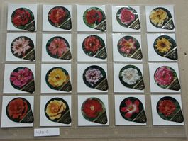Serie  410  C      Rosen        Gastro