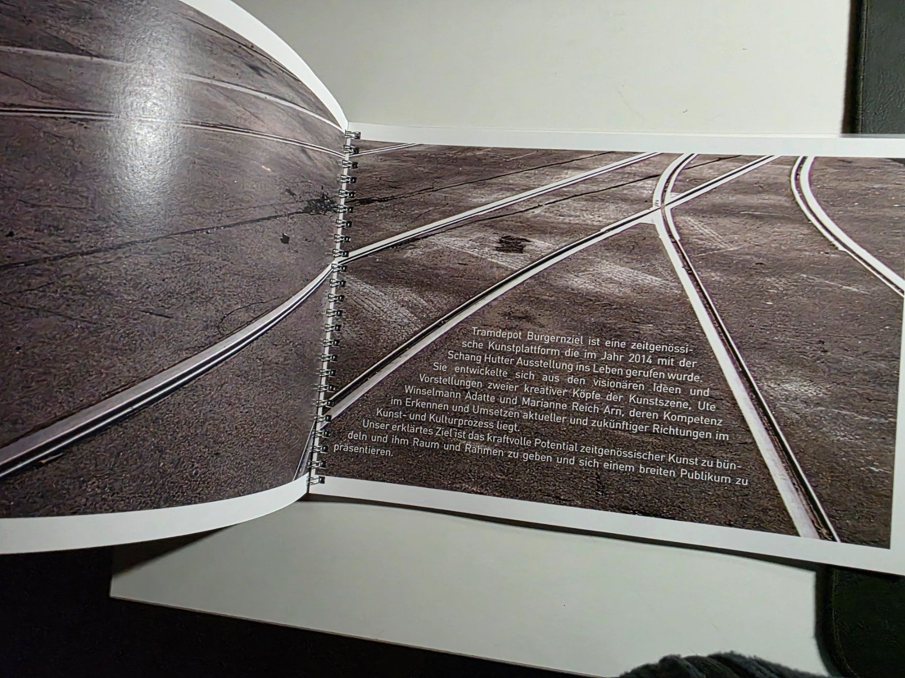 Livres: Traumdepot HOLZ - 2015 – D'occasion à Walterswil BE par Lonitti 7